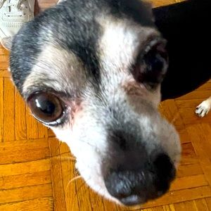 Meet your Posher, Serena